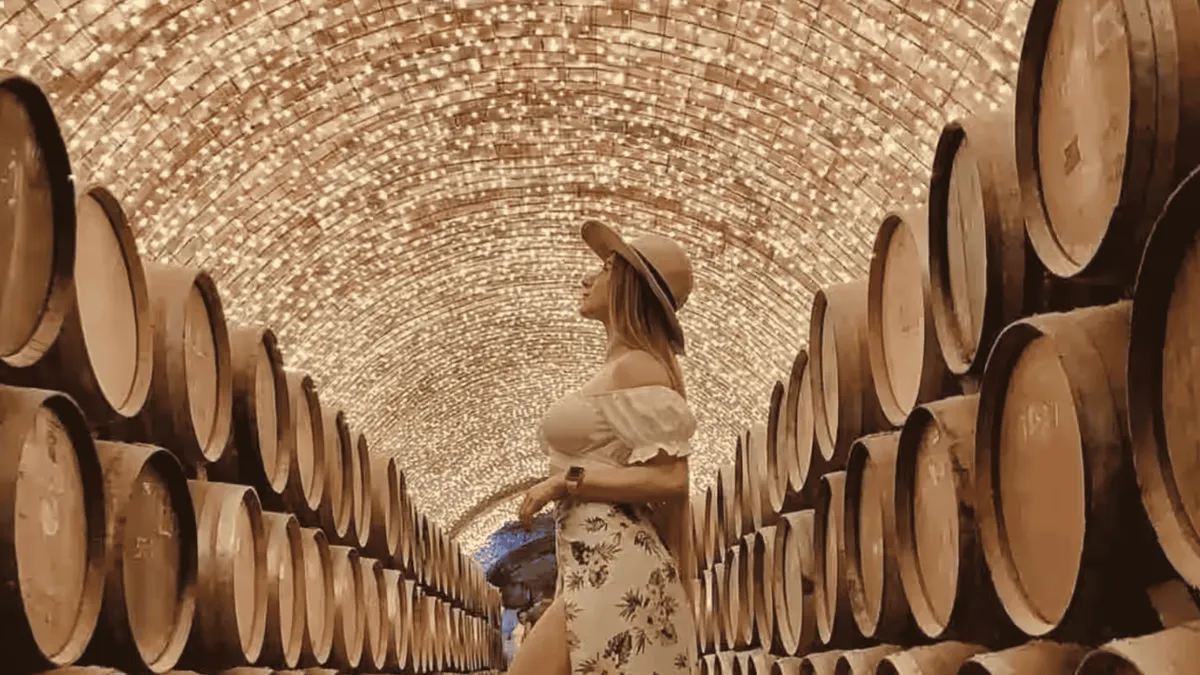 Barrels in the underground cellar of a family distillery on a tequila tour and cantaritos trip from Guadalajara